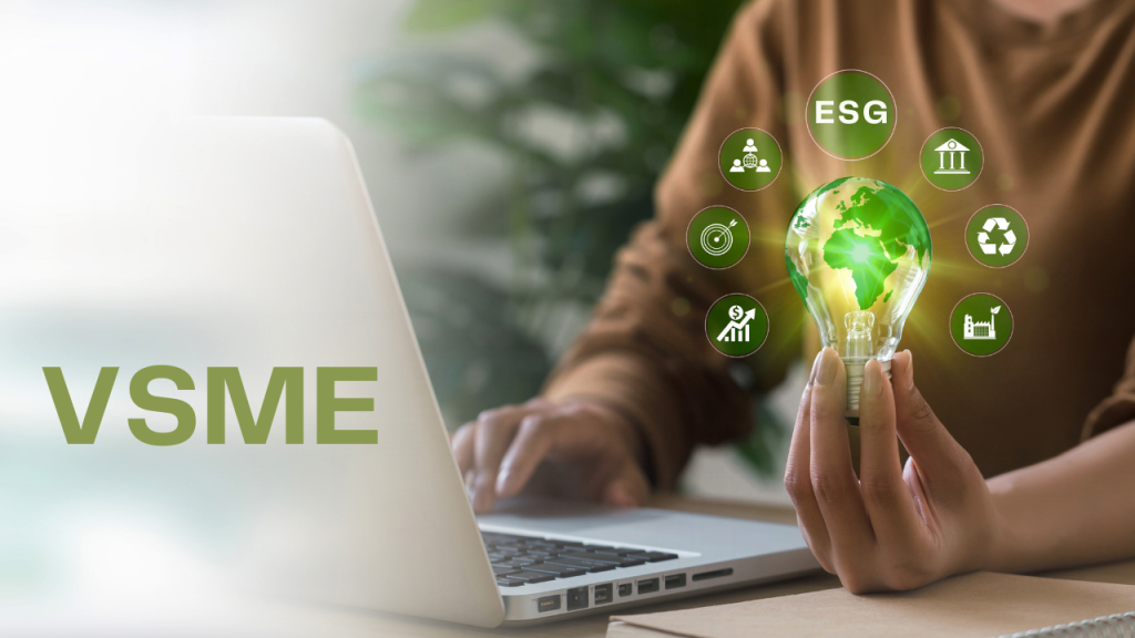VSME raportointi