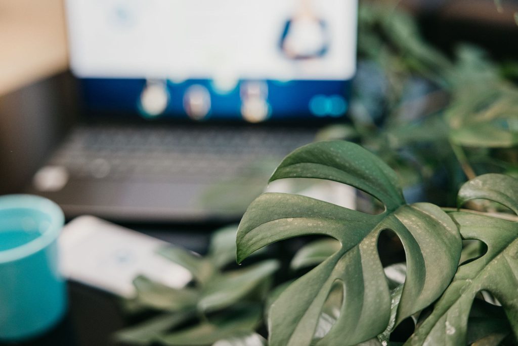 Yritysvastuuakatemia asiakaspalvelu